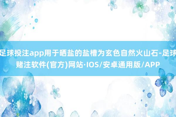 足球投注app用于晒盐的盐槽为玄色自然火山石-足球赌注软件(官方)网站·IOS/安卓通用版/APP