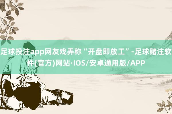 足球投注app网友戏弄称“开盘即放工”-足球赌注软件(官方)网站·IOS/安卓通用版/APP