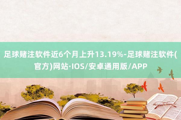 足球赌注软件近6个月上升13.19%-足球赌注软件(官方)网站·IOS/安卓通用版/APP