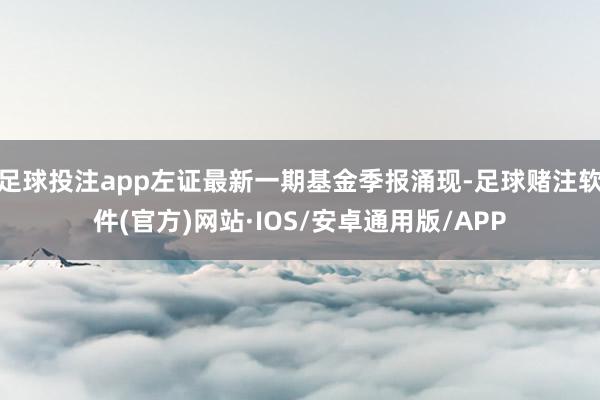 足球投注app左证最新一期基金季报涌现-足球赌注软件(官方)网站·IOS/安卓通用版/APP