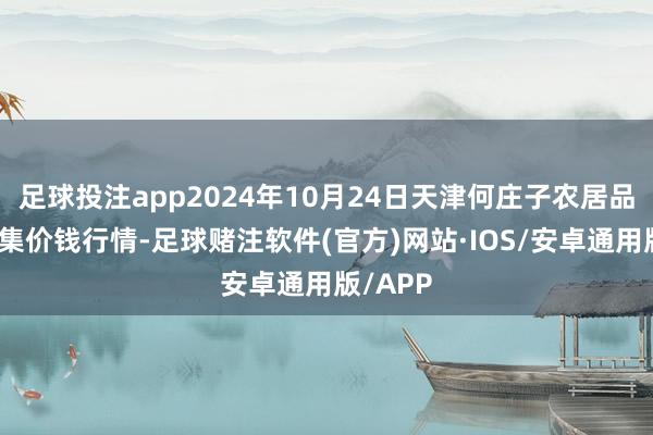 足球投注app2024年10月24日天津何庄子农居品批发市集价钱行情-足球赌注软件(官方)网站·IOS/安卓通用版/APP