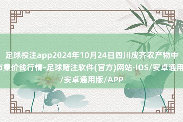 足球投注app2024年10月24日四川成齐农产物中心批发市集价钱行情-足球赌注软件(官方)网站·IOS/安卓通用版/APP