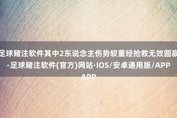 足球赌注软件其中2东说念主伤势较重经抢救无效圆寂-足球赌注软件(官方)网站·IOS/安卓通用版/APP