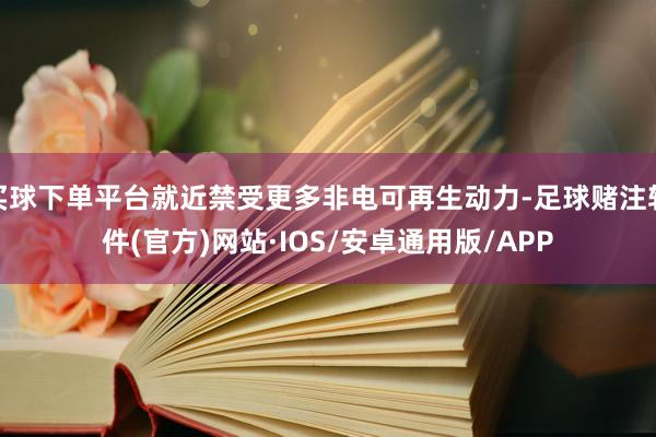 买球下单平台就近禁受更多非电可再生动力-足球赌注软件(官方)网站·IOS/安卓通用版/APP