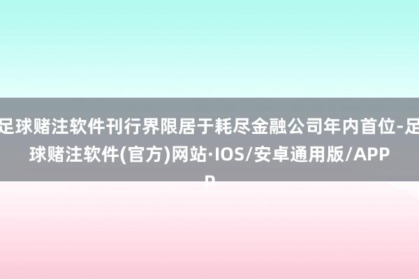 足球赌注软件刊行界限居于耗尽金融公司年内首位-足球赌注软件(官方)网站·IOS/安卓通用版/APP