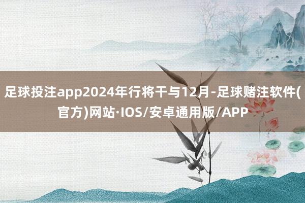 足球投注app2024年行将干与12月-足球赌注软件(官方)网站·IOS/安卓通用版/APP