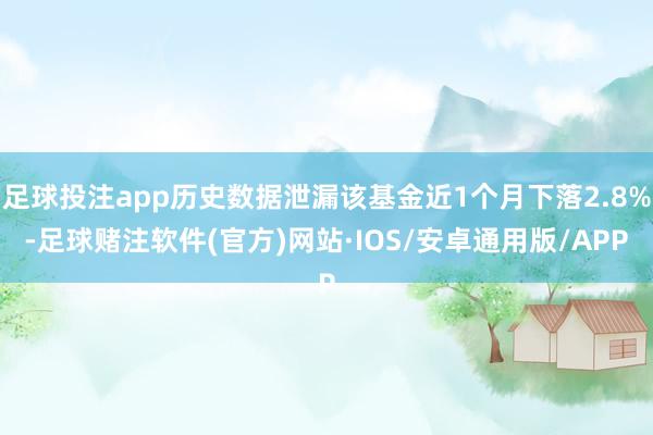 足球投注app历史数据泄漏该基金近1个月下落2.8%-足球赌注软件(官方)网站·IOS/安卓通用版/APP