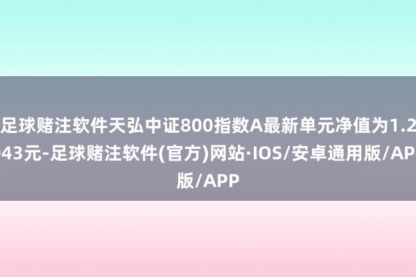 足球赌注软件天弘中证800指数A最新单元净值为1.2043元-足球赌注软件(官方)网站·IOS/安卓通用版/APP