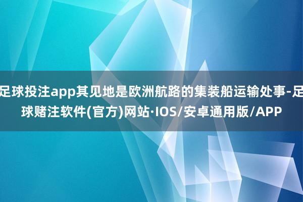 足球投注app其见地是欧洲航路的集装船运输处事-足球赌注软件(官方)网站·IOS/安卓通用版/APP