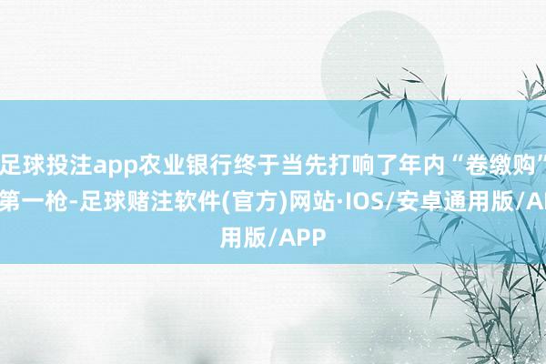 足球投注app农业银行终于当先打响了年内“卷缴购”的第一枪-足球赌注软件(官方)网站·IOS/安卓通用版/APP