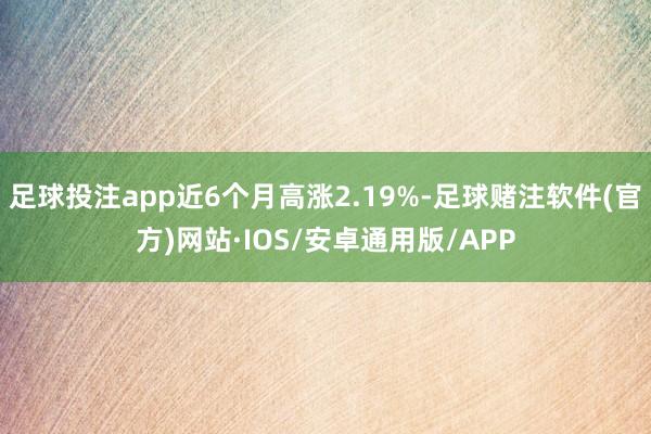 足球投注app近6个月高涨2.19%-足球赌注软件(官方)网站·IOS/安卓通用版/APP