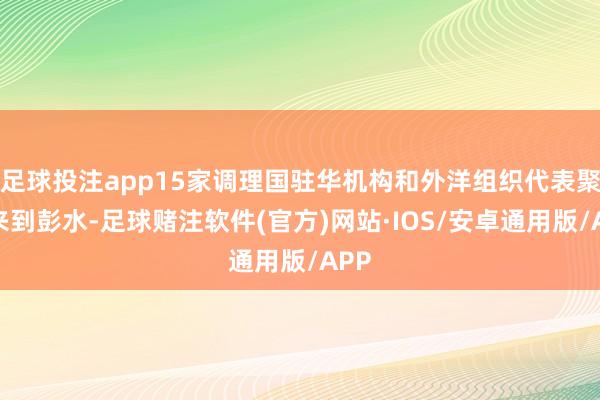 足球投注app15家调理国驻华机构和外洋组织代表聚合来到彭水-足球赌注软件(官方)网站·IOS/安卓通用版/APP