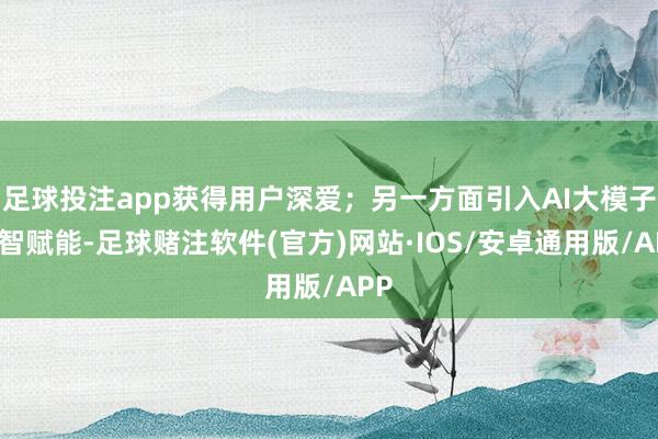 足球投注app获得用户深爱；另一方面引入AI大模子新智赋能-足球赌注软件(官方)网站·IOS/安卓通用版/APP