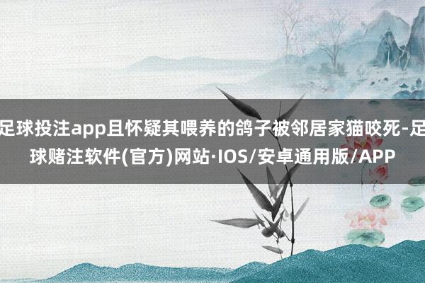 足球投注app且怀疑其喂养的鸽子被邻居家猫咬死-足球赌注软件(官方)网站·IOS/安卓通用版/APP