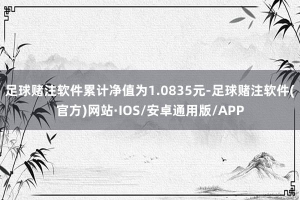 足球赌注软件累计净值为1.0835元-足球赌注软件(官方)网站·IOS/安卓通用版/APP