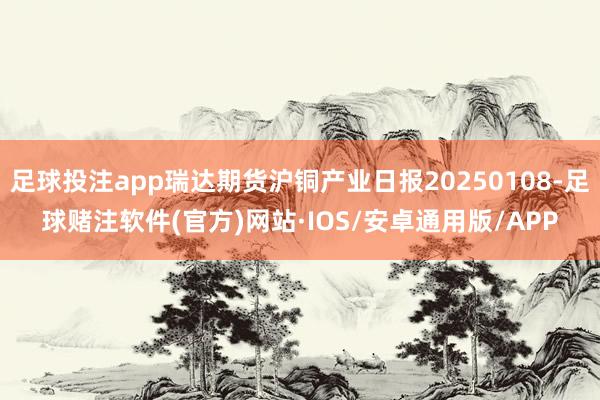 足球投注app瑞达期货沪铜产业日报20250108-足球赌注软件(官方)网站·IOS/安卓通用版/APP