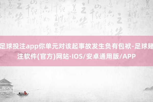 足球投注app你单元对该起事故发生负有包袱-足球赌注软件(官方)网站·IOS/安卓通用版/APP