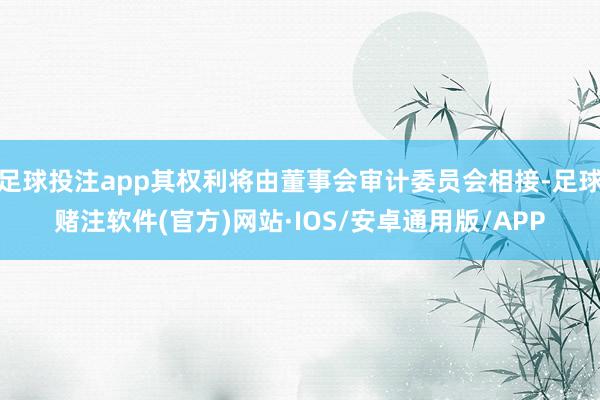 足球投注app其权利将由董事会审计委员会相接-足球赌注软件(官方)网站·IOS/安卓通用版/APP
