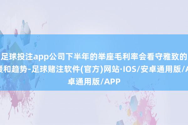 足球投注app公司下半年的举座毛利率会看守雅致的水缓和趋势-足球赌注软件(官方)网站·IOS/安卓通用版/APP