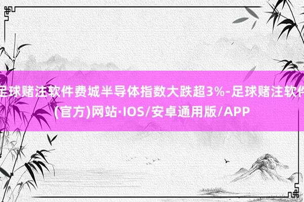 足球赌注软件费城半导体指数大跌超3%-足球赌注软件(官方)网站·IOS/安卓通用版/APP