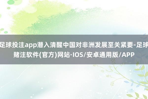 足球投注app潜入清醒中国对非洲发展至关紧要-足球赌注软件(官方)网站·IOS/安卓通用版/APP