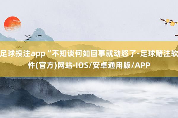 足球投注app“不知谈何如回事就动怒了-足球赌注软件(官方)网站·IOS/安卓通用版/APP