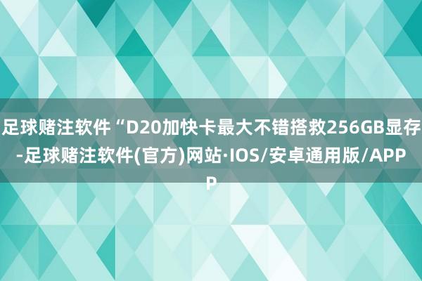 足球赌注软件“D20加快卡最大不错搭救256GB显存-足球赌注软件(官方)网站·IOS/安卓通用版/APP
