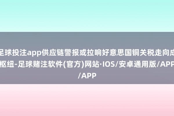 足球投注app供应链警报或拉响好意思国铜关税走向成枢纽-足球赌注软件(官方)网站·IOS/安卓通用版/APP
