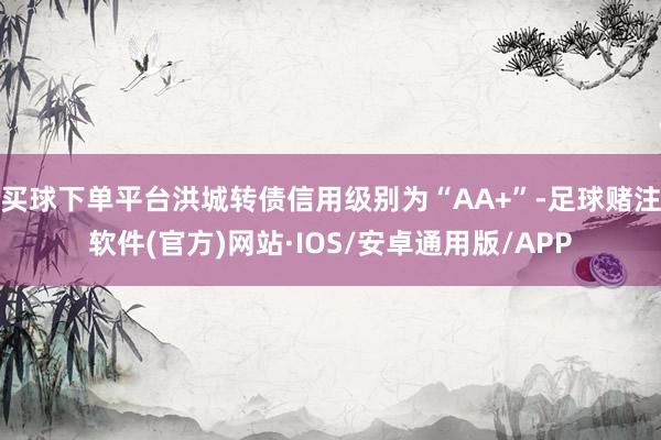 买球下单平台洪城转债信用级别为“AA+”-足球赌注软件(官方)网站·IOS/安卓通用版/APP