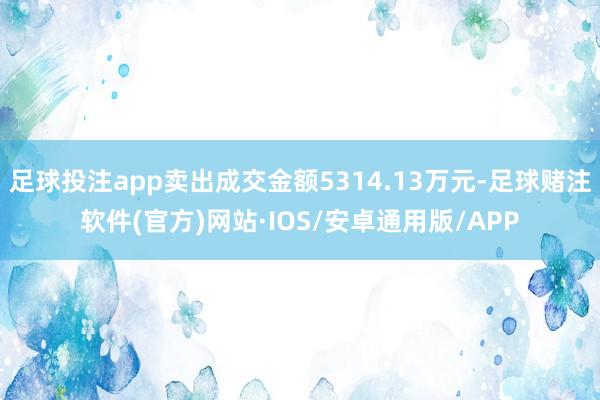 足球投注app卖出成交金额5314.13万元-足球赌注软件(官方)网站·IOS/安卓通用版/APP