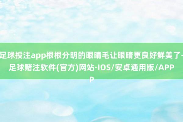 足球投注app根根分明的眼睛毛让眼睛更良好鲜美了-足球赌注软件(官方)网站·IOS/安卓通用版/APP
