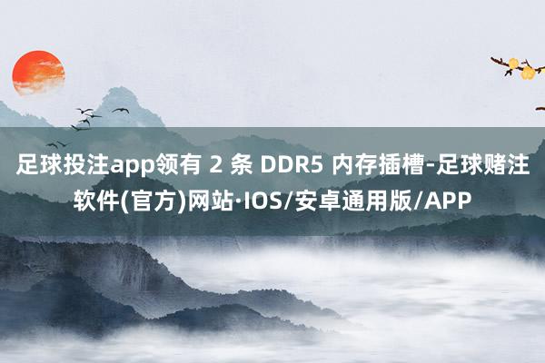 足球投注app领有 2 条 DDR5 内存插槽-足球赌注软件(官方)网站·IOS/安卓通用版/APP