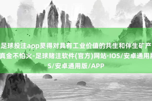 足球投注app莫得对具有工业价值的共生和伴生矿产进行提真金不怕火-足球赌注软件(官方)网站·IOS/安卓通用版/APP