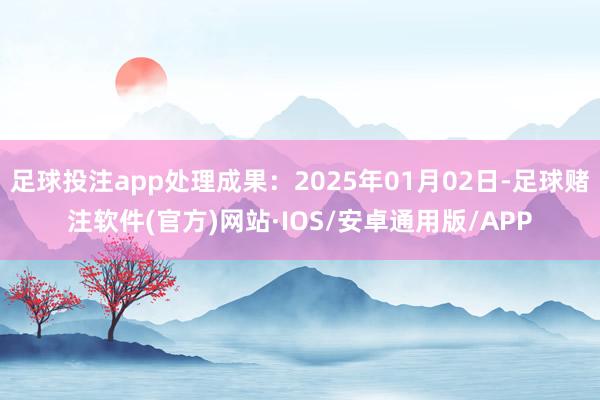足球投注app处理成果：2025年01月02日-足球赌注软件(官方)网站·IOS/安卓通用版/APP