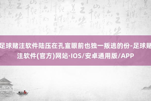 足球赌注软件陆压在孔宣眼前也独一叛逃的份-足球赌注软件(官方)网站·IOS/安卓通用版/APP