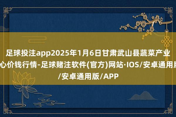足球投注app2025年1月6日甘肃武山县蔬菜产业发展中心价钱行情-足球赌注软件(官方)网站·IOS/安卓通用版/APP