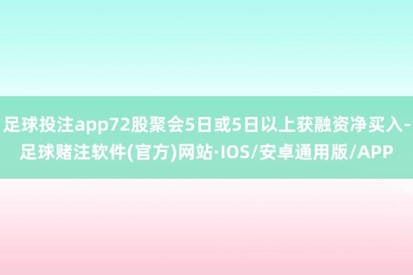 足球投注app72股聚会5日或5日以上获融资净买入-足球赌注软件(官方)网站·IOS/安卓通用版/APP