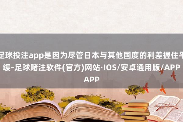 足球投注app是因为尽管日本与其他国度的利差握住平缓-足球赌注软件(官方)网站·IOS/安卓通用版/APP