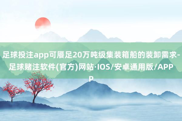 足球投注app可餍足20万吨级集装箱船的装卸需求-足球赌注软件(官方)网站·IOS/安卓通用版/APP