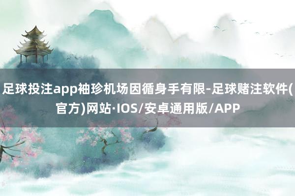 足球投注app袖珍机场因循身手有限-足球赌注软件(官方)网站·IOS/安卓通用版/APP