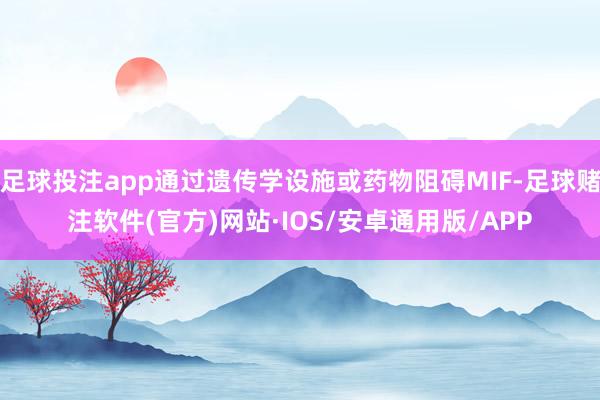 足球投注app通过遗传学设施或药物阻碍MIF-足球赌注软件(官方)网站·IOS/安卓通用版/APP