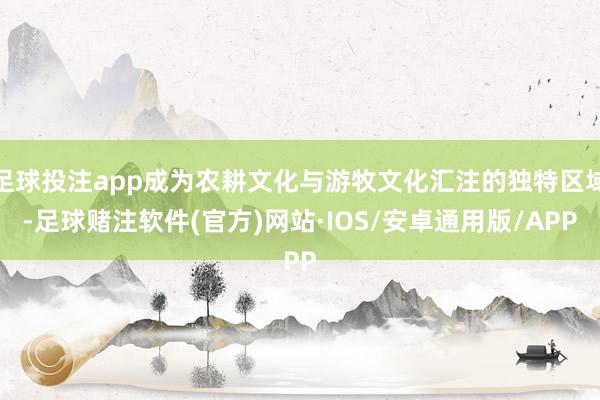 足球投注app成为农耕文化与游牧文化汇注的独特区域-足球赌注软件(官方)网站·IOS/安卓通用版/APP