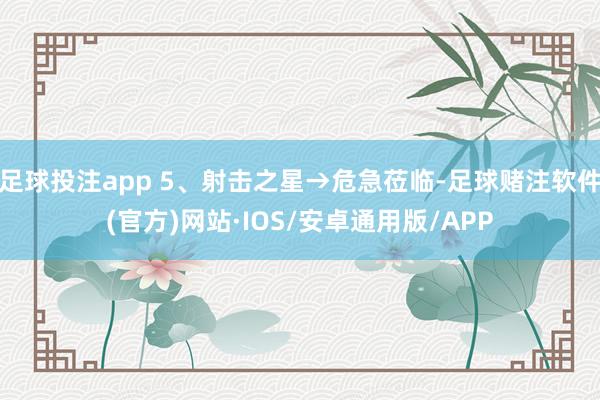 足球投注app 5、射击之星→危急莅临-足球赌注软件(官方)网站·IOS/安卓通用版/APP