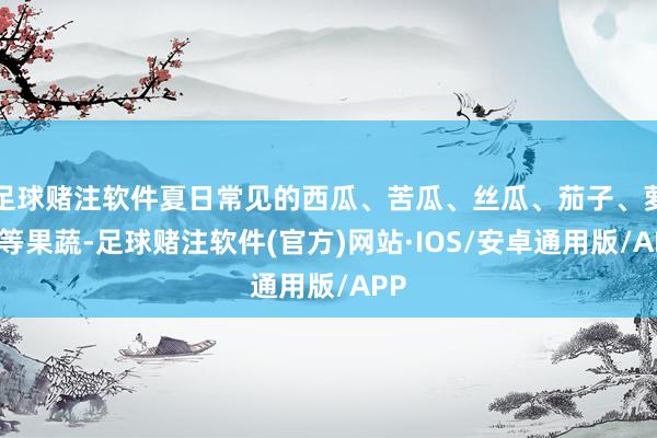 足球赌注软件夏日常见的西瓜、苦瓜、丝瓜、茄子、萝卜等果蔬-足球赌注软件(官方)网站·IOS/安卓通用版/APP