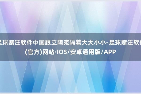 足球赌注软件中国跟立陶宛隔着大大小小-足球赌注软件(官方)网站·IOS/安卓通用版/APP