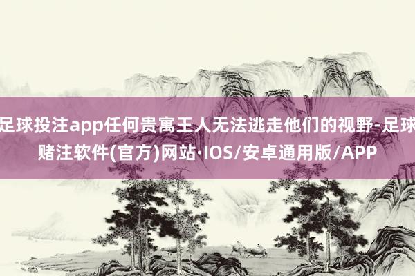 足球投注app任何贵寓王人无法逃走他们的视野-足球赌注软件(官方)网站·IOS/安卓通用版/APP
