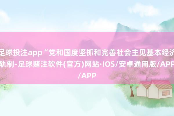 足球投注app“党和国度坚抓和完善社会主见基本经济轨制-足球赌注软件(官方)网站·IOS/安卓通用版/APP