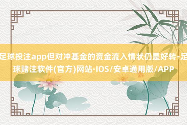 足球投注app但对冲基金的资金流入情状仍是好转-足球赌注软件(官方)网站·IOS/安卓通用版/APP