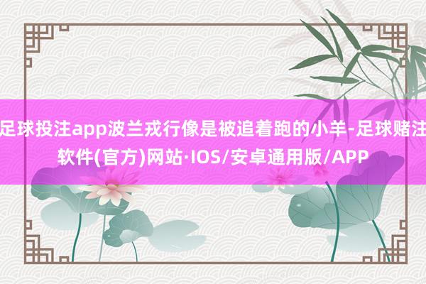 足球投注app波兰戎行像是被追着跑的小羊-足球赌注软件(官方)网站·IOS/安卓通用版/APP