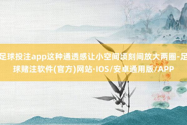 足球投注app这种通透感让小空间顷刻间放大两圈-足球赌注软件(官方)网站·IOS/安卓通用版/APP
